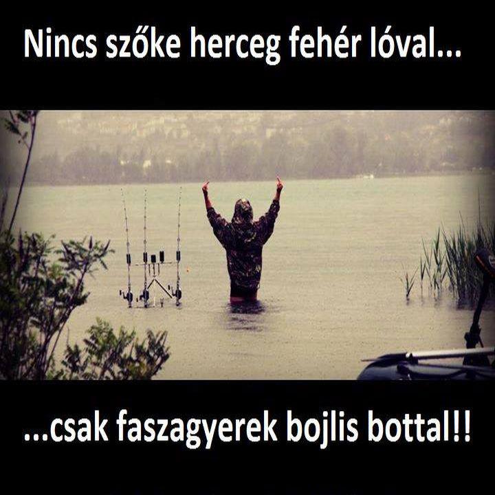 Zozi_83, 41