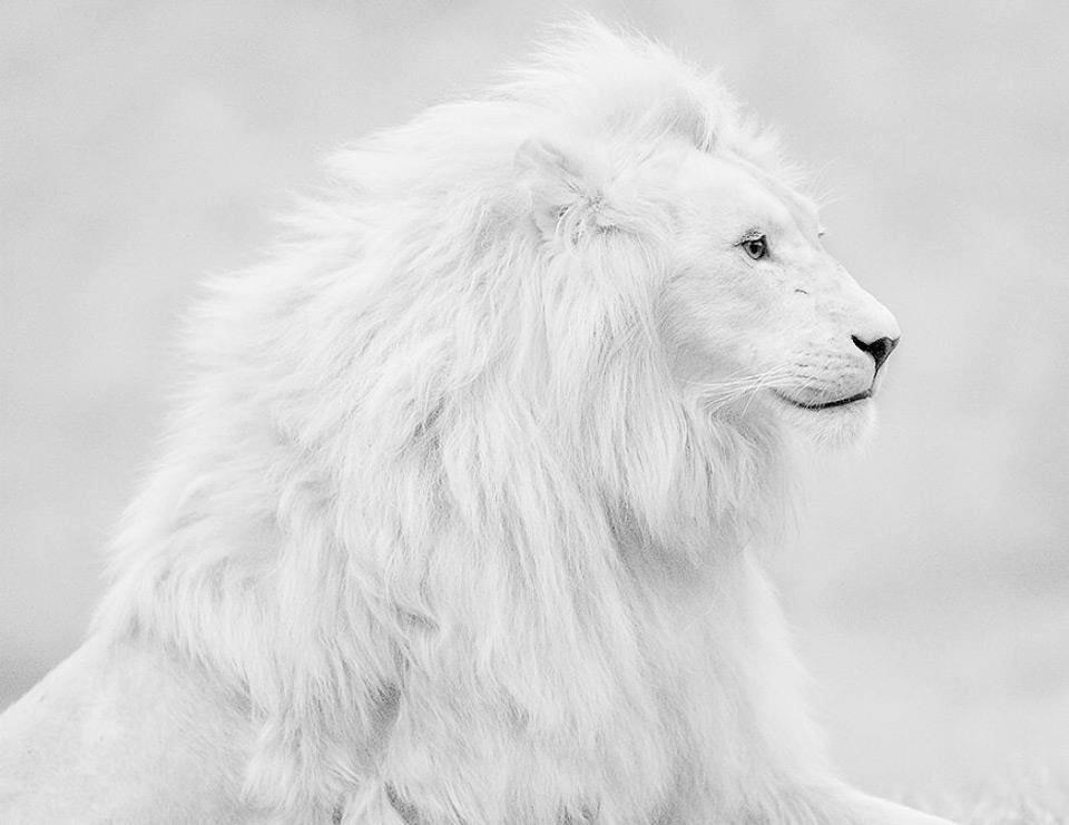 Lúthien, 48