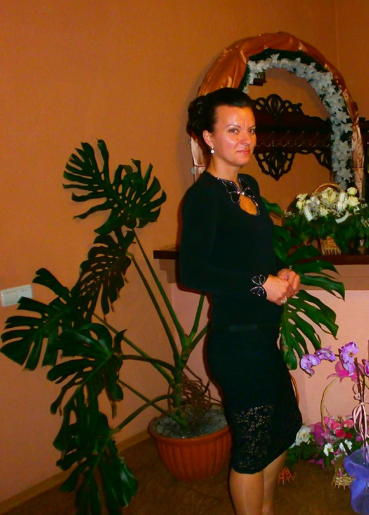 Ibol, 50