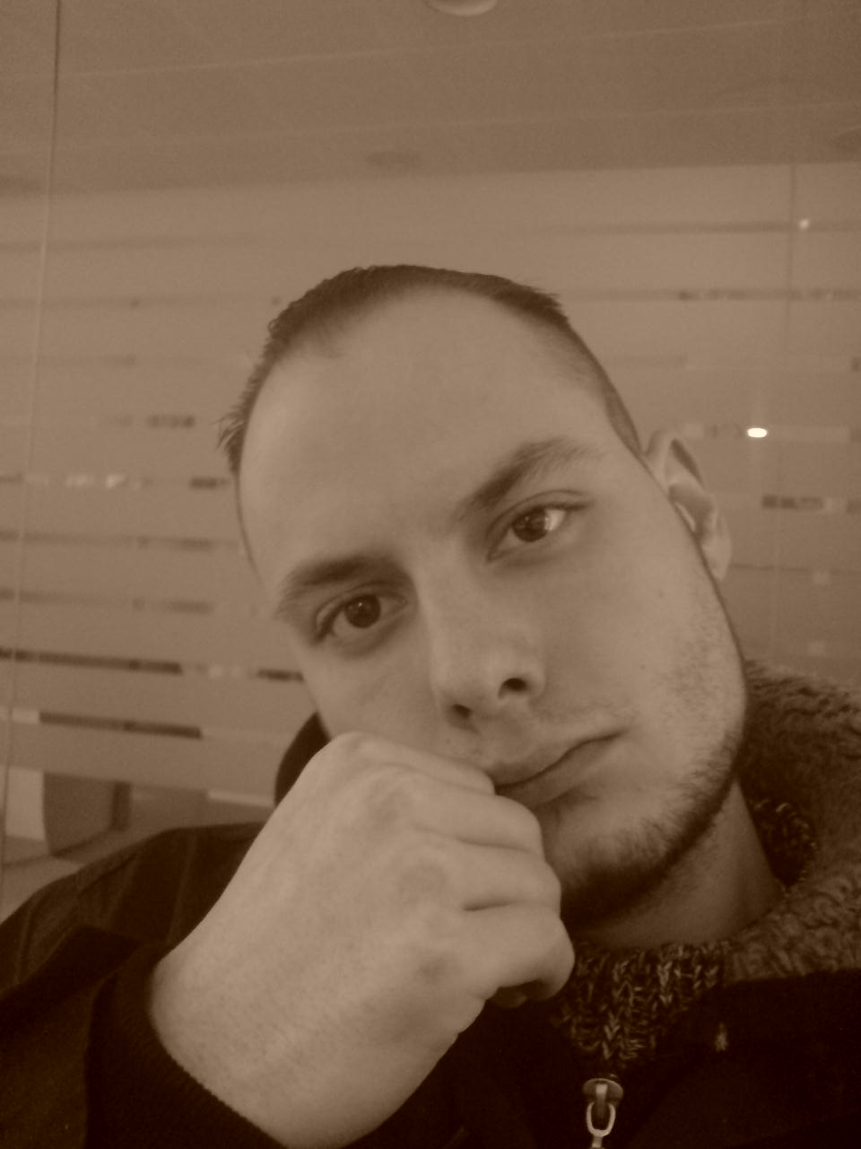 zsifi, 43