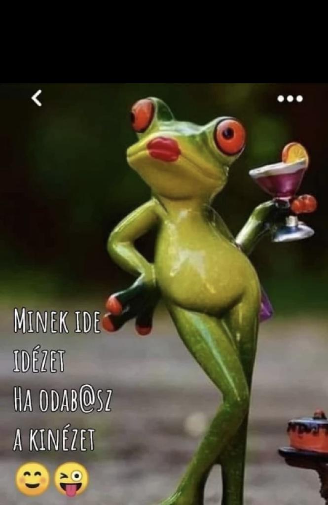 Nemezanevem, 40