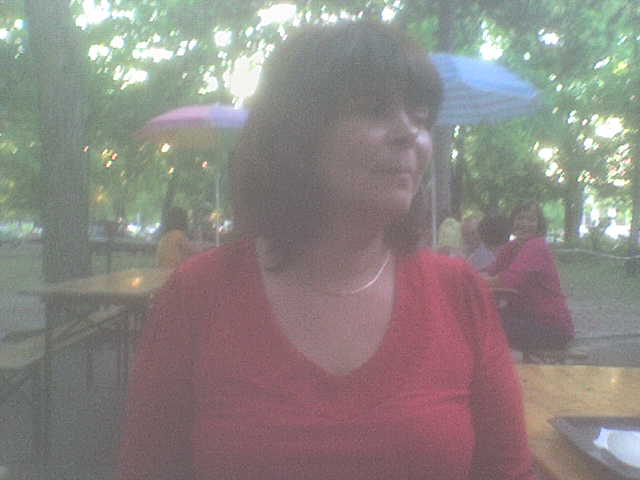 mosika, 66